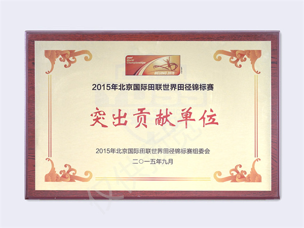 2015國際田聯(lián)世錦賽突出貢獻單位