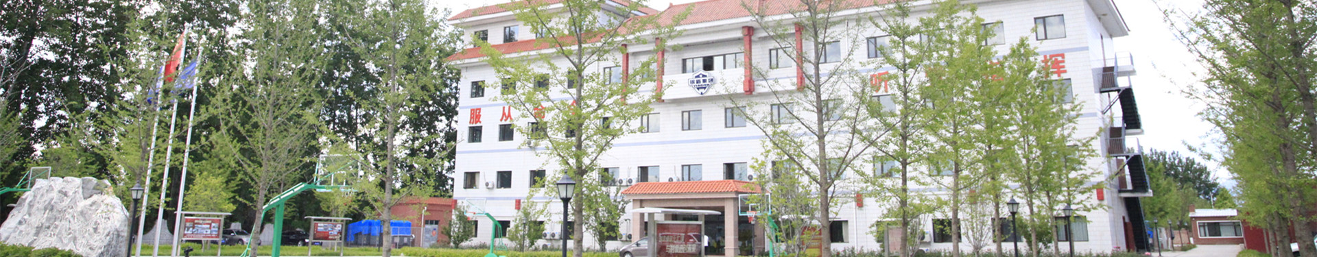 銀盾簡(jiǎn)介